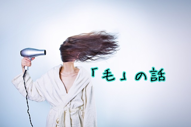 永久脱毛の向こう側 アンダーヘアのかつらは外国人男性と付き合っている女性の必須アイテムになるか マフィントップと唐辛子